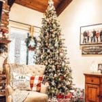 Christmas tree with decor