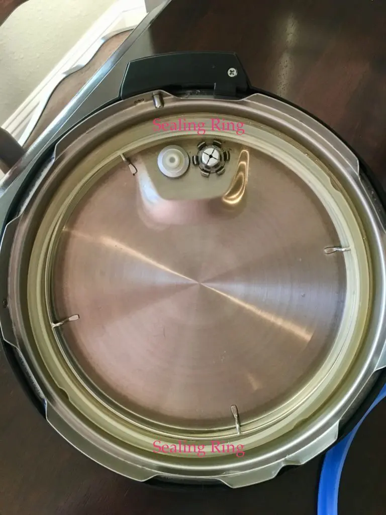 sealing ring view of the instant pot