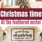 CHRISTMASTIME AT THE FEATHERED NESTER