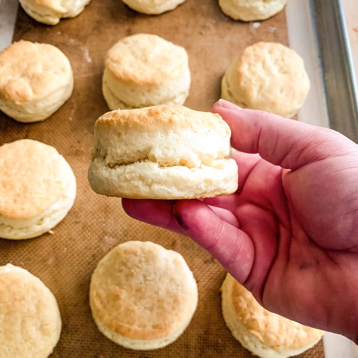 A close up image of a rolled biscuit.