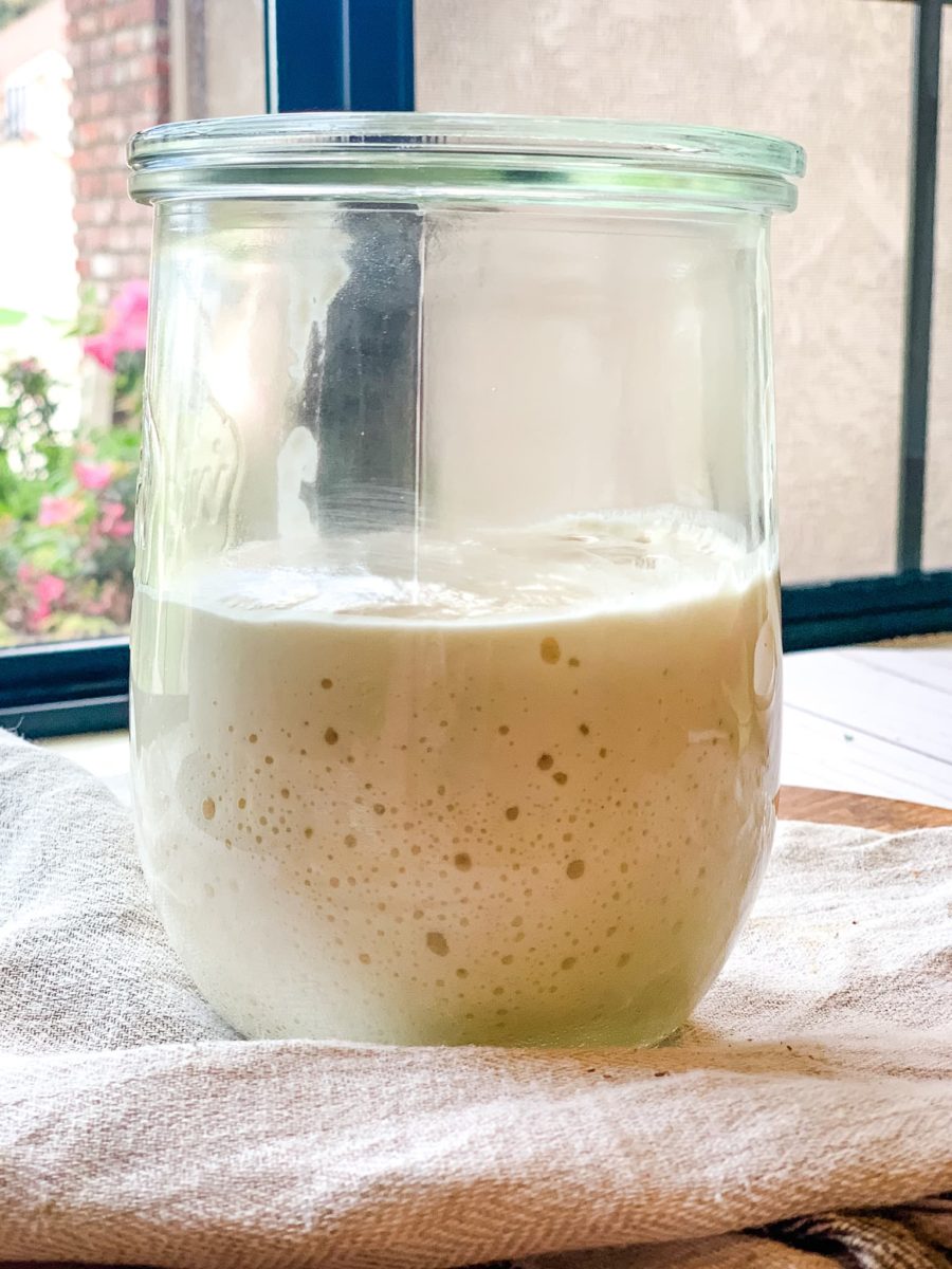 A jar of active sourdough starter.