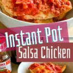pot of salsa chicken