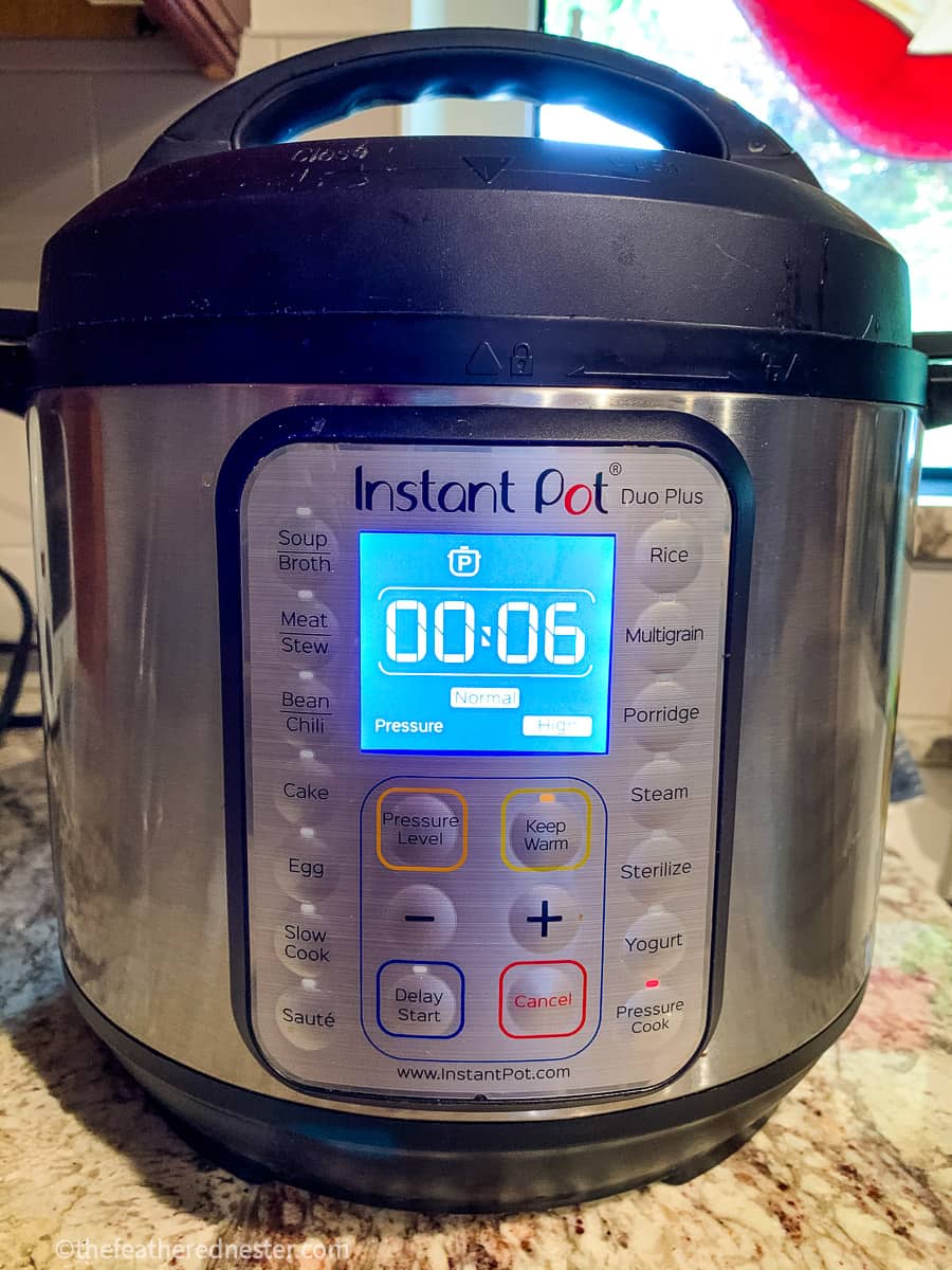 Pressure cooker set for 6 minutes of cooking on High power.