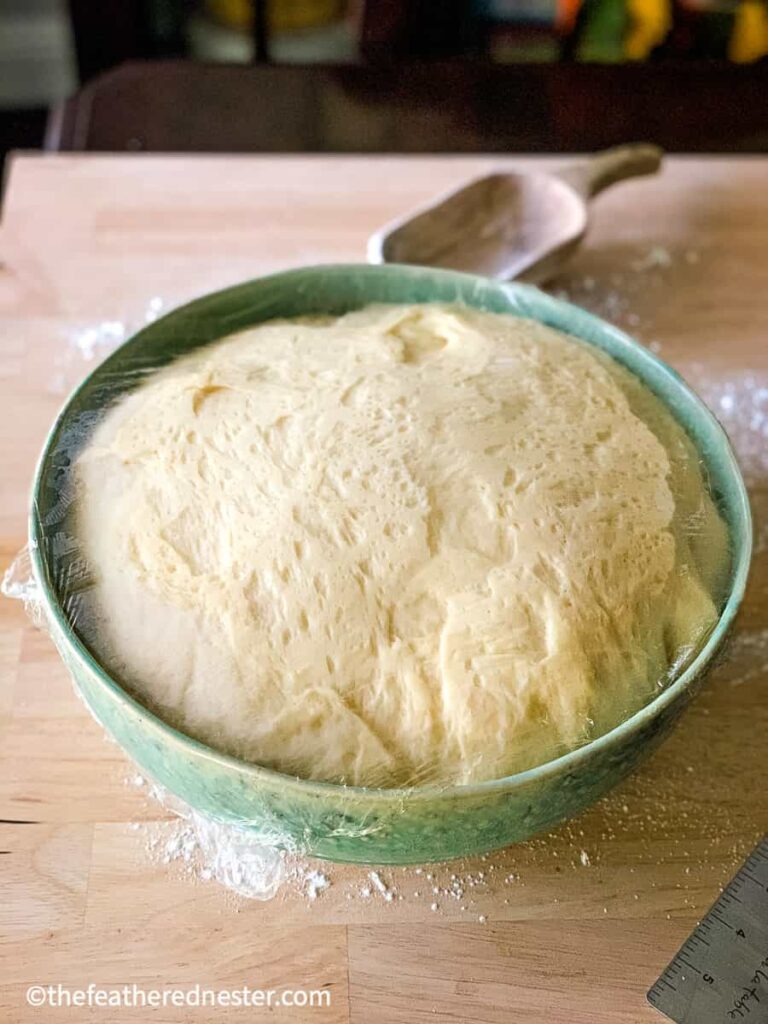 risen potato yeast dough.