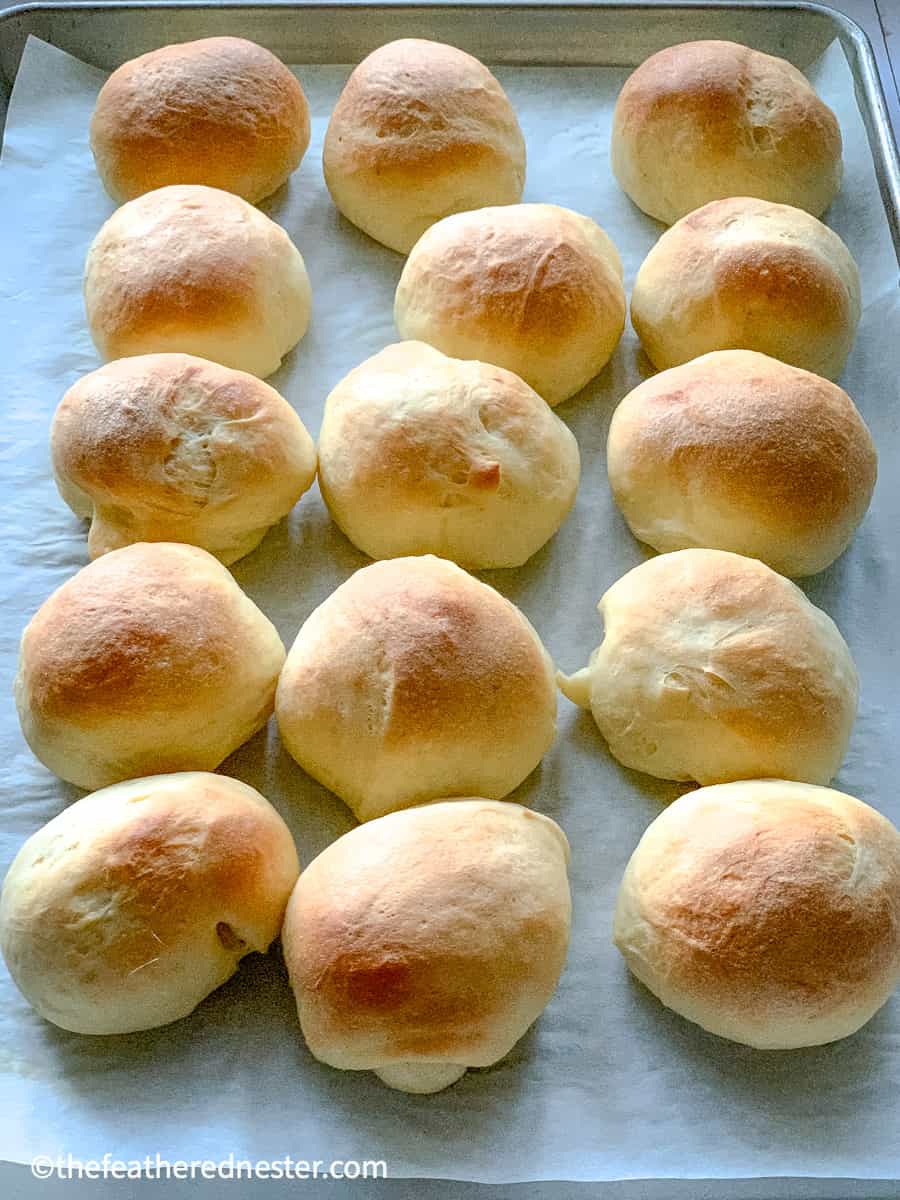 Old Fashioned Yeast Rolls Recipe - The Feathered Nester
