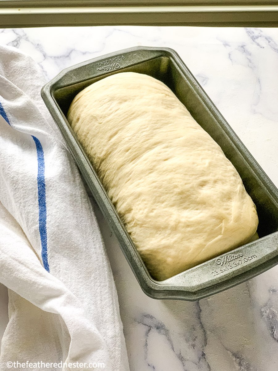 sourdough sandwich bread dough in a bread pan ready for baking.