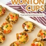 a graphic image of Taco Wonton Cups.