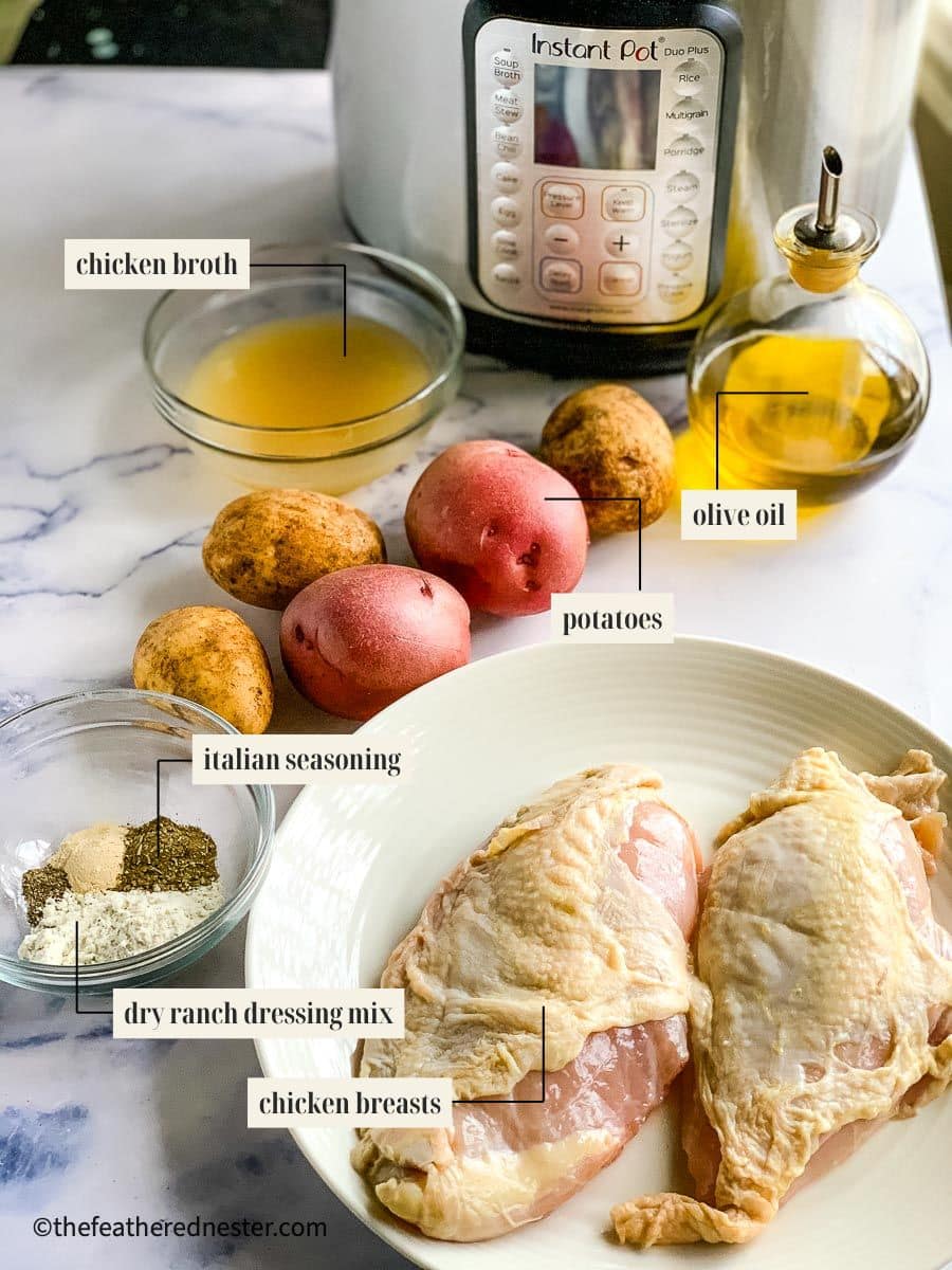 Labeled ingredient image for ranch chicken recipe.
