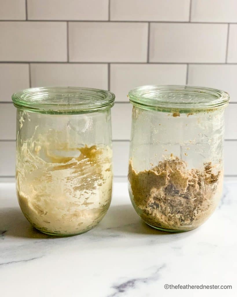 two Weck jars with an all purpose flour sourdough starter and rye flour starter