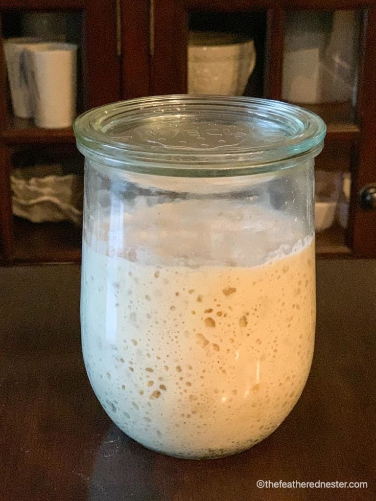 The Best Containers for Sourdough Starter of 2023