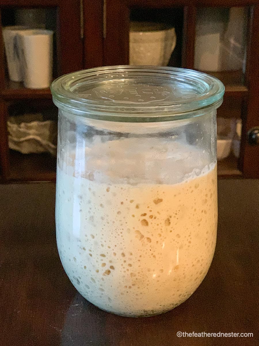 A weck jar filled with a sourdough starter.