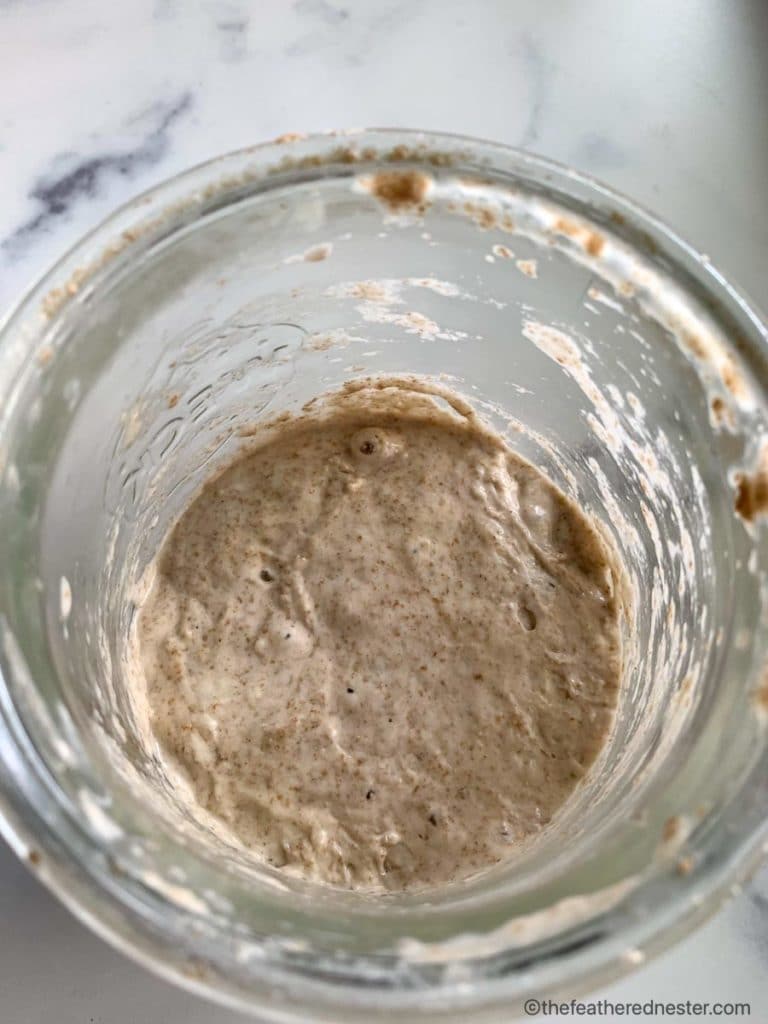 a glass container of sourdough starter day 2