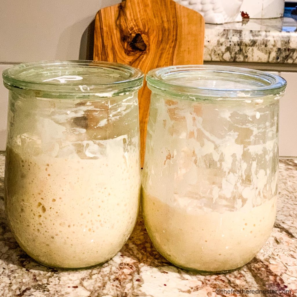 Two jars of fermented yeast