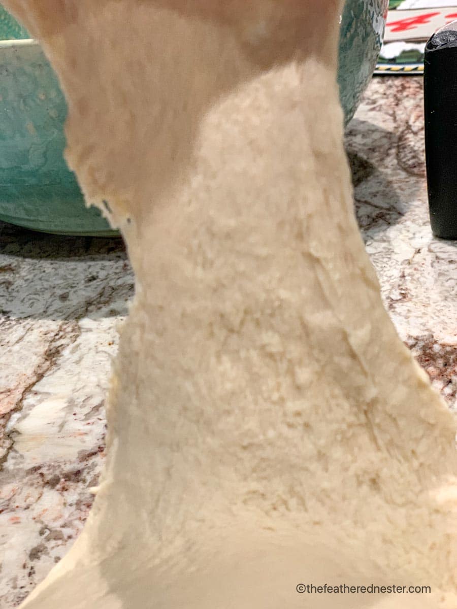Properly kneaded bread stretched out using the window pane method.
