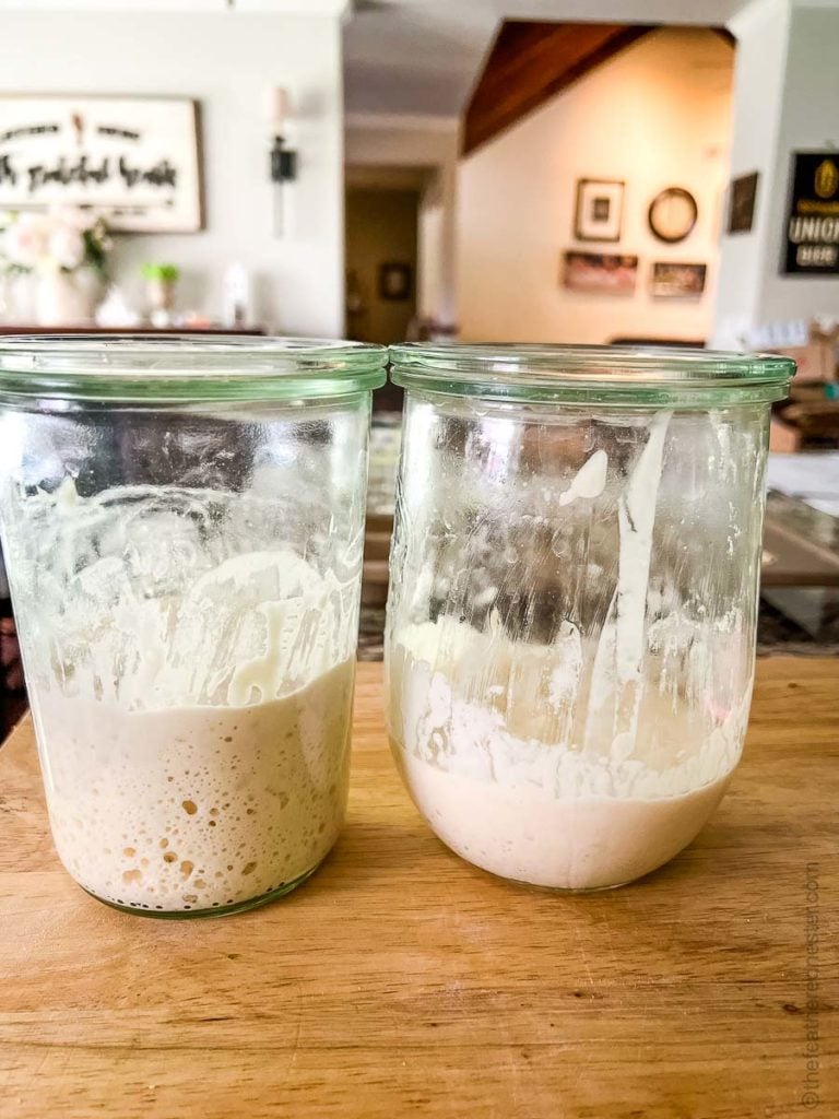 How to store sourdough starter tells you how to store starters like these for long term storage.