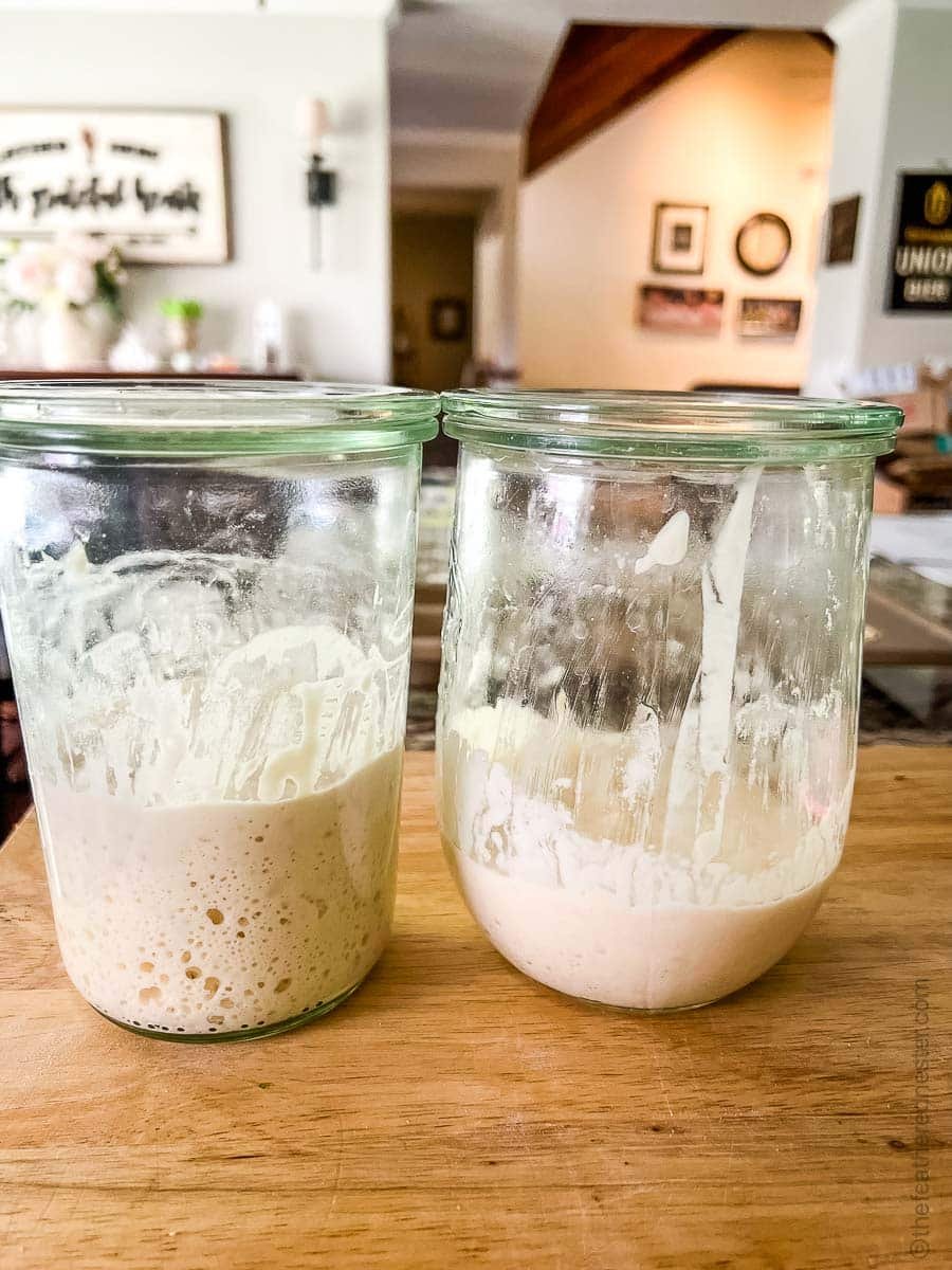 how to store sourdough starter tells you how to store starters like these for long term storage.