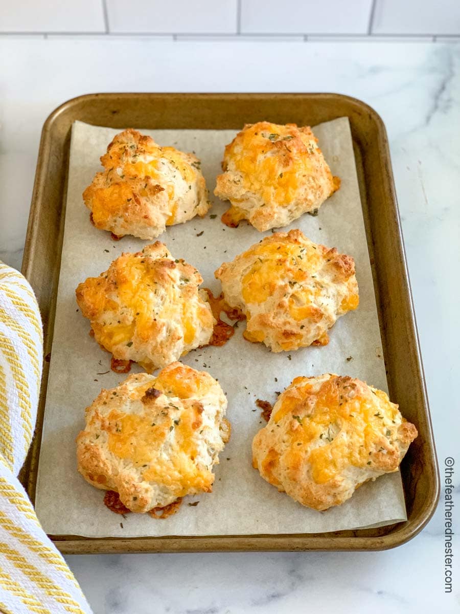 a baking sheet of Bisquick cheddar biscuits with a yellow and white napkin