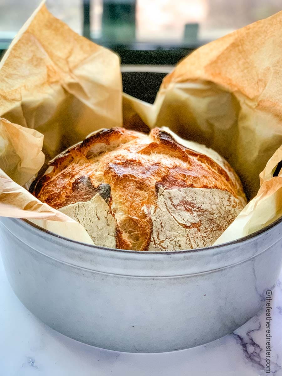 a loaf of dutch oven sourdough bread cooling.