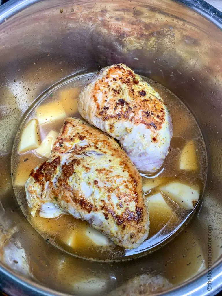 turkey and potatoes in the instant pot