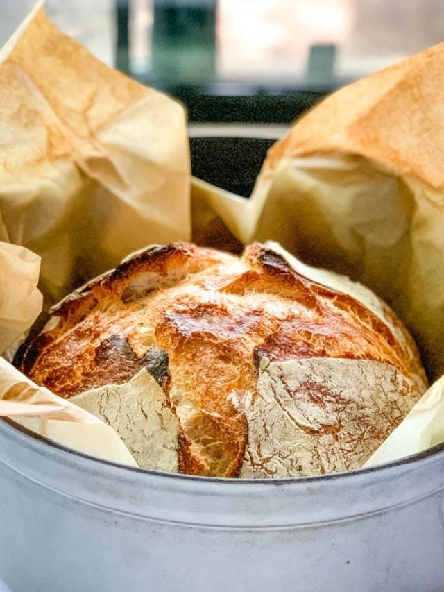 https://thefeatherednester.com/wp-content/uploads/2021/09/cropped-Dutch-Oven-Sourdough-Bread-2.jpg