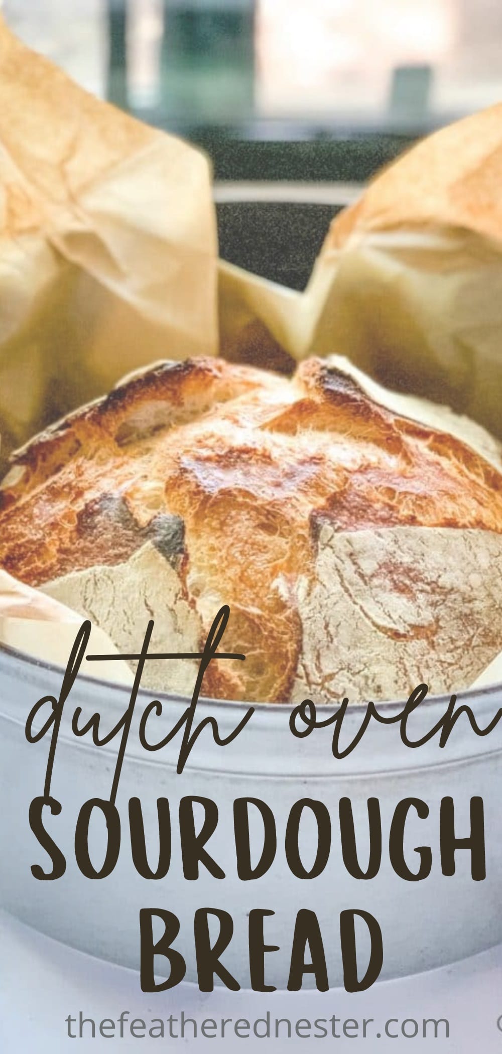 Easy Dutch Oven Sourdough Bread The Feathered Nester
