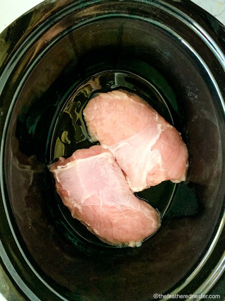 Two boneless skinless pieces of poultry in a slow cooker.