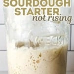 a graphic image of How to Fix Common Sourdough Starter Issues.