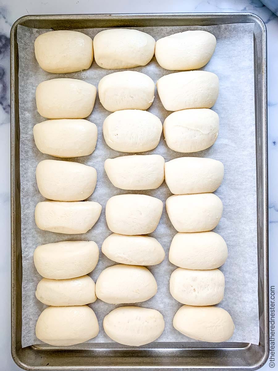 a sheet of freshly risen yeast rolls from frozen