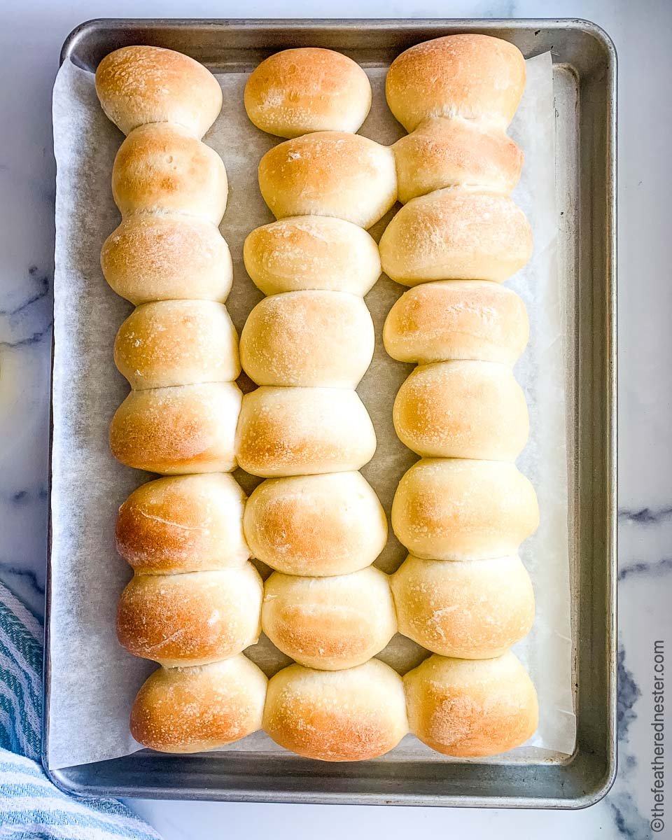 Freshly baked yeast dinner rolls on a baking sheet.