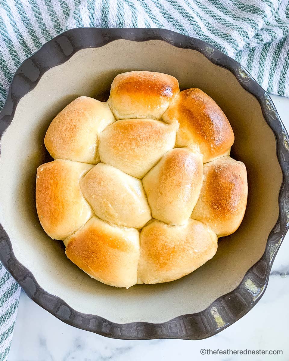 A round pan of freshly baked parker house rolls from frozen.