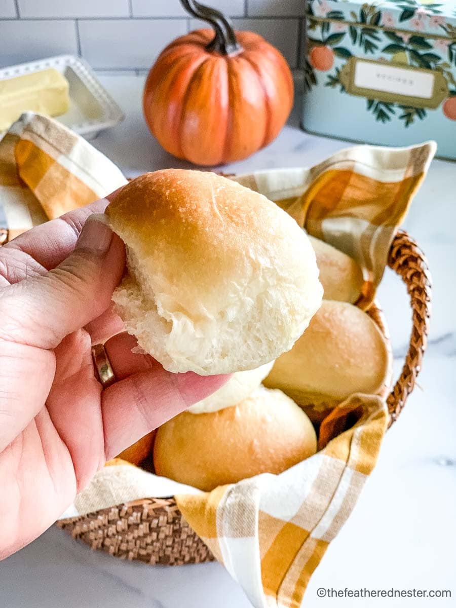 close up of freshly baked dinner rolls.