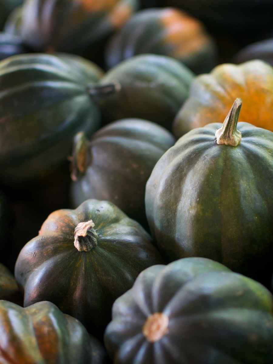 Whole winter squashes, shown close up.