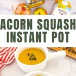 Instant Pot Acorn Squash Soup