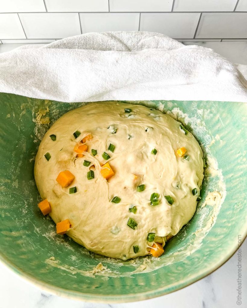 a green bowl of cheesy jalapeño sourdough ready to rise
