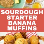 Sourdough Banana Muffins