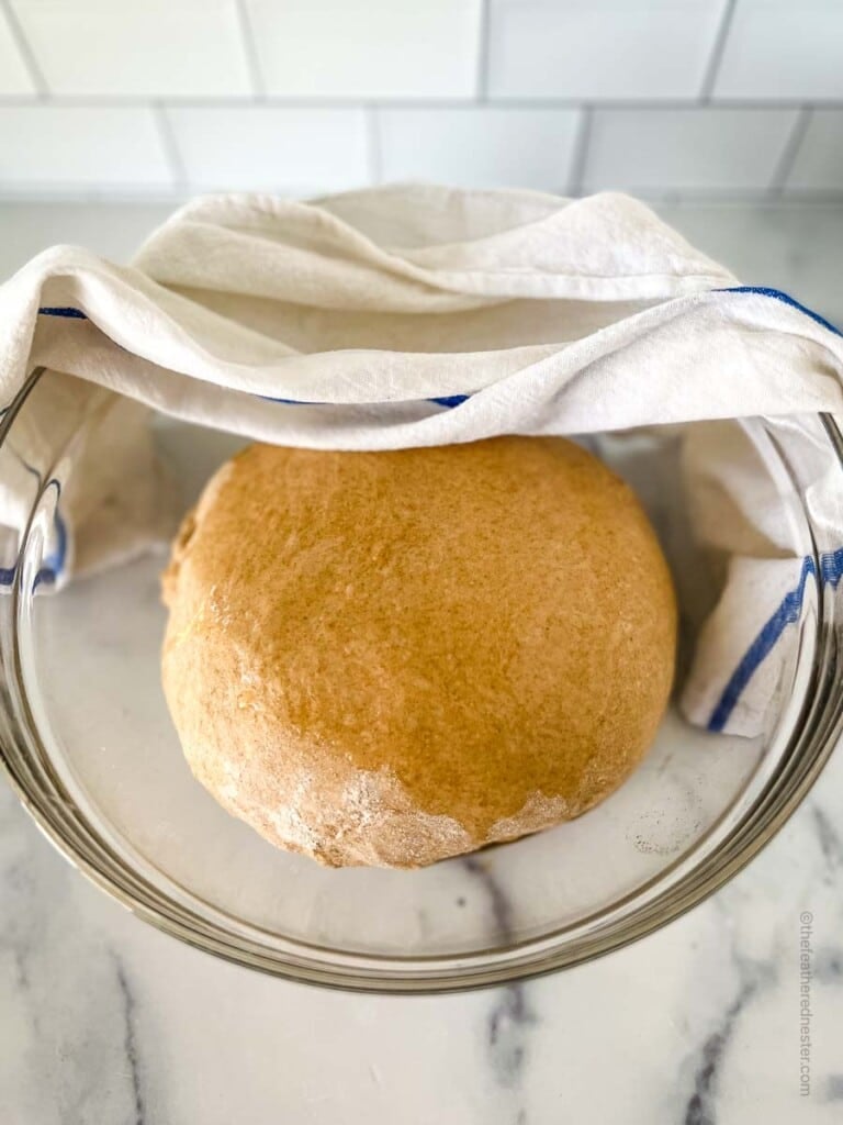 dough ball on a clear bowl with a damp towel on it ready to rise.