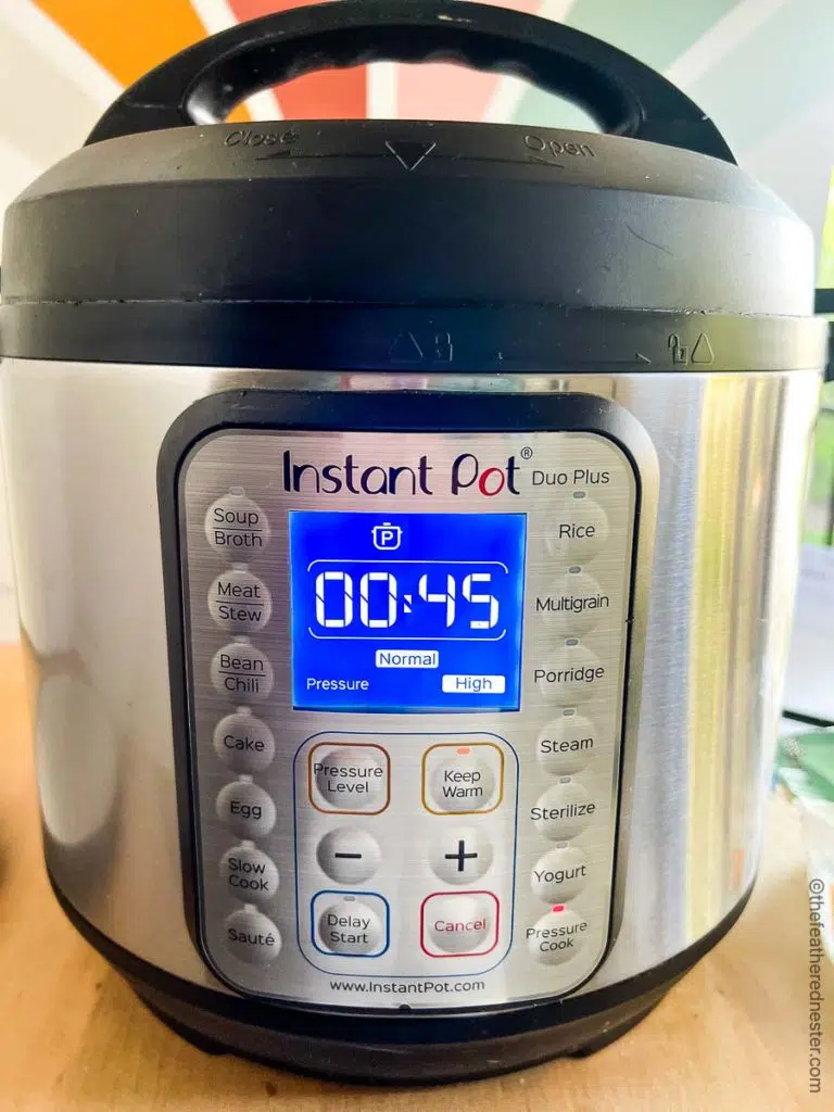 45 minute timer set on the pressure cooker Instant Pot