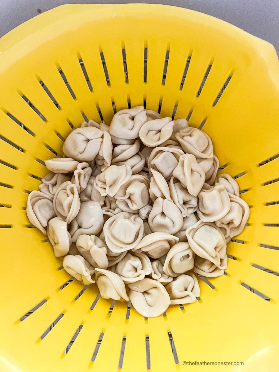 cooked cheese tortellini drained in a colander