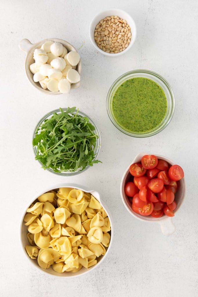 ingredients for the Caprese Tortellini Salad. Contains of toasted pine nuts, mozarella balls, fresh arugula, cheese tortellini, cheery tomatoes, along with Pesto Sauce.