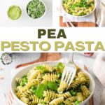 images of ingredients for pesto and a bowl of pesto pasta on top, with a salad bowl of pea pesto pasta and a fork on the bottom
