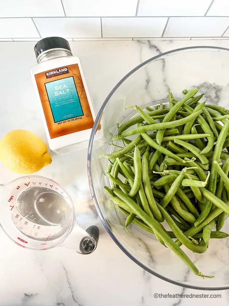ingredients for making Instant Pot Green Beans which contains sea salt, lemon, green beans, and water.