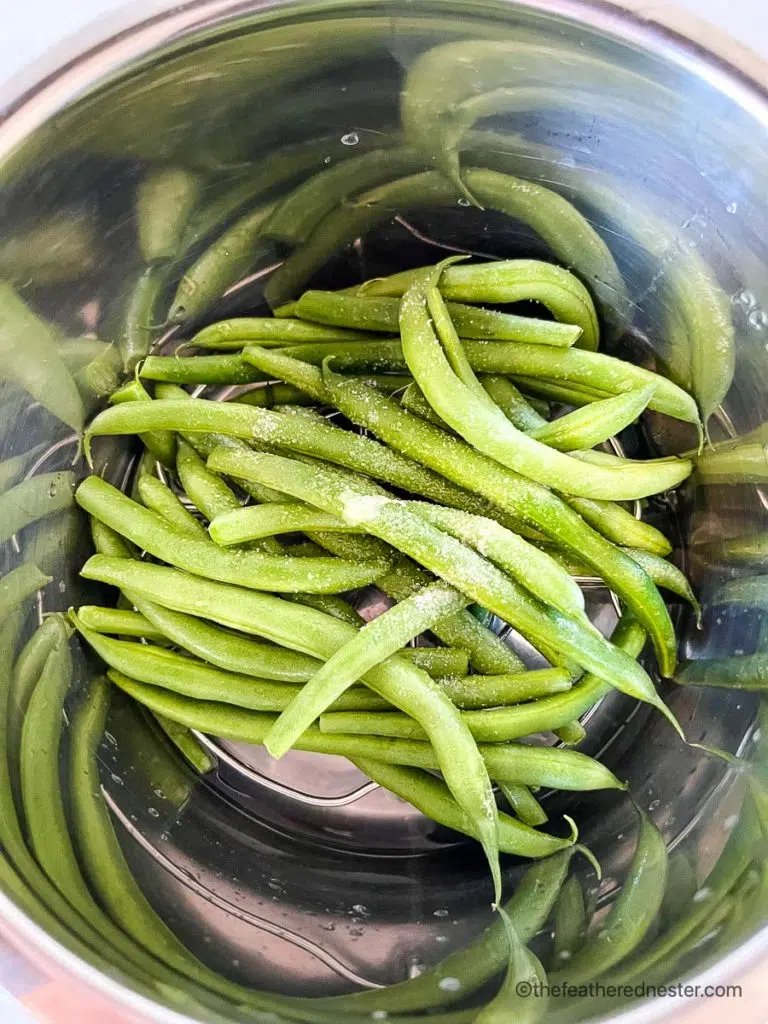 fresh green beans with salt on top inside the instant pot.