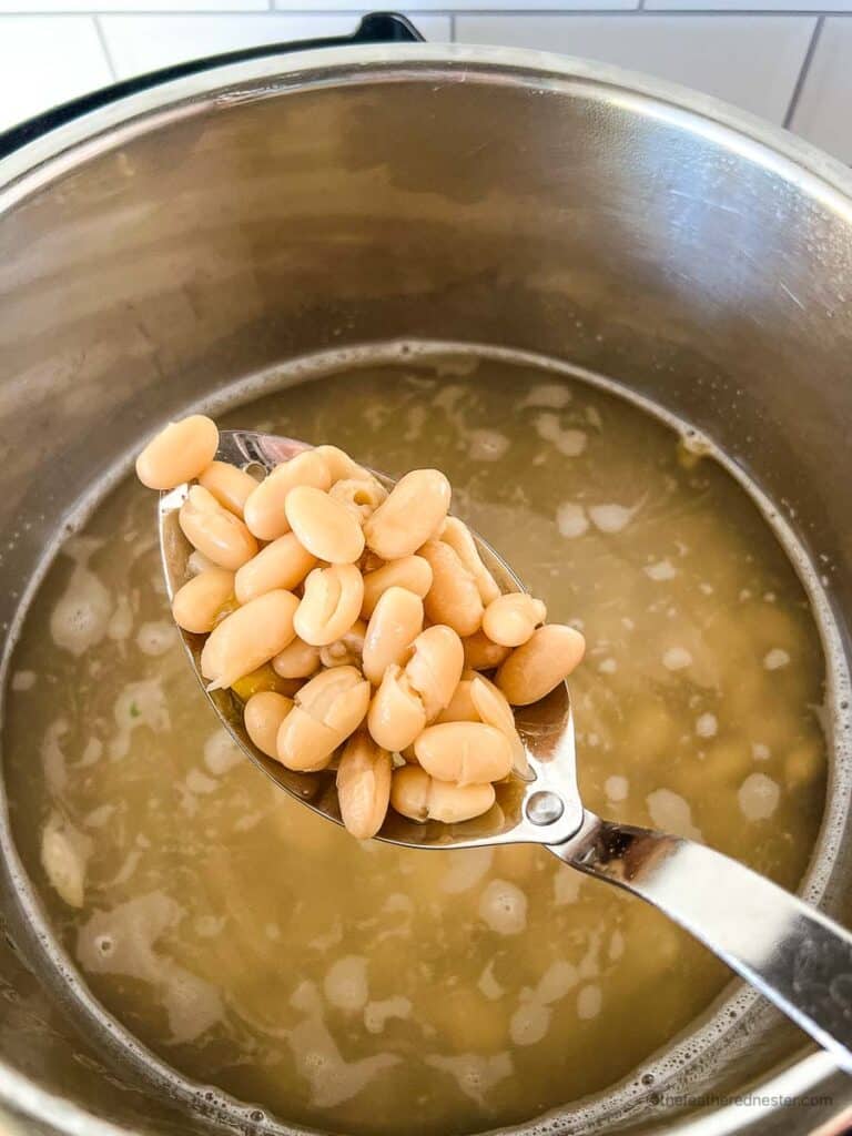 white beans cooked in the pressure cooker with a metal spoonful of them up close