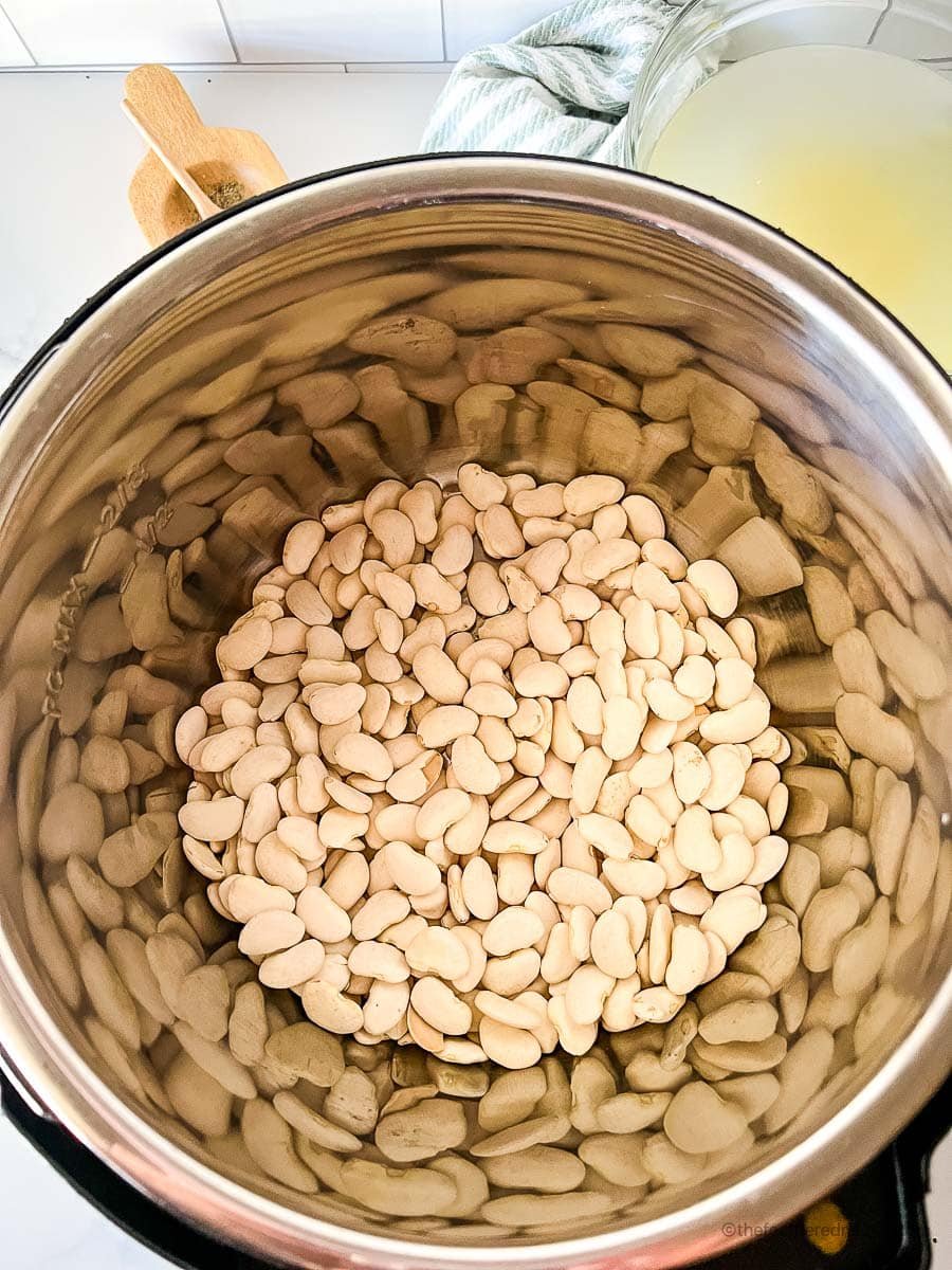 White beans in the Instant Pot, covered with water.