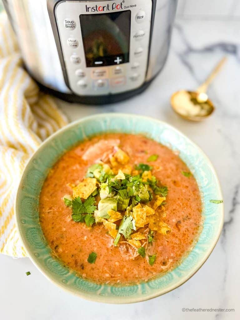 Bowl of Mexican chicken tortilla soup for Cinco de Mayo party food.