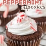 a graphic image of Chocolate Peppermint Cupcakes.