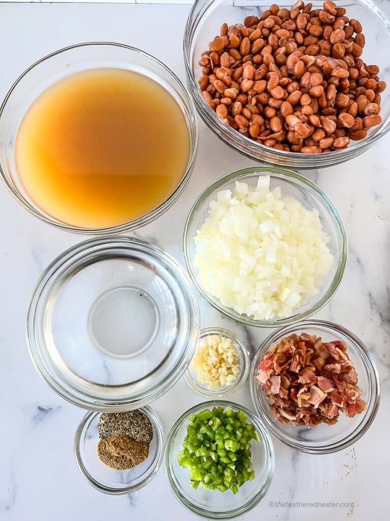 ingredients for making slow cooker pinto beans with ham which consists of pinto beans, chicken broth, water, mined onions, garlic, bacon, jalapenos, and spices.