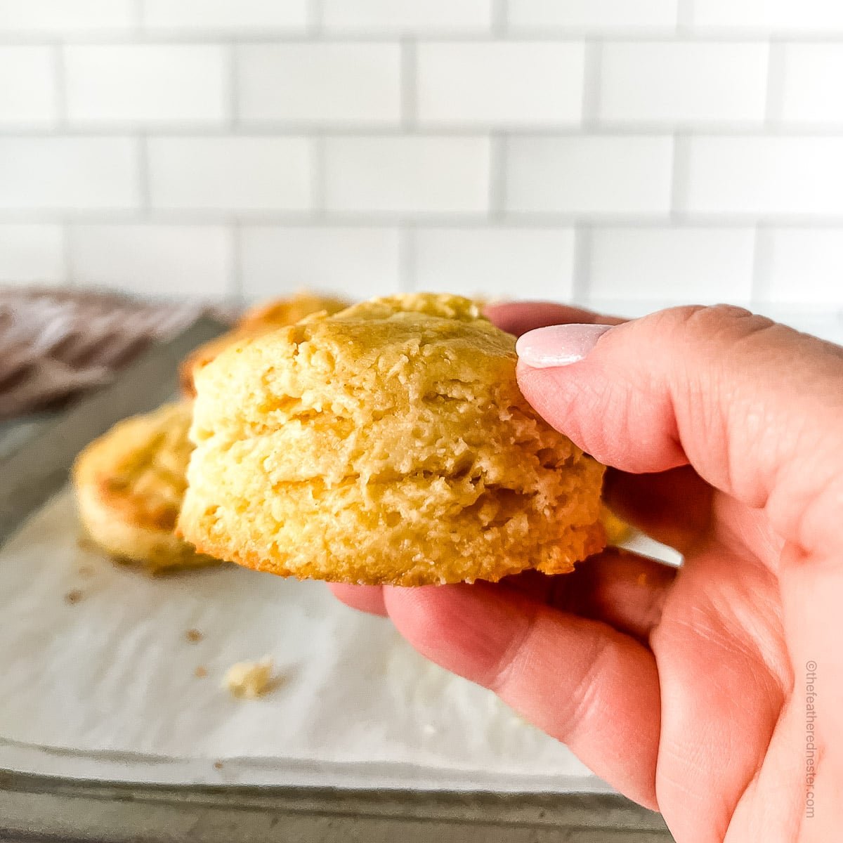 hand holding a buttermilk biscuit.