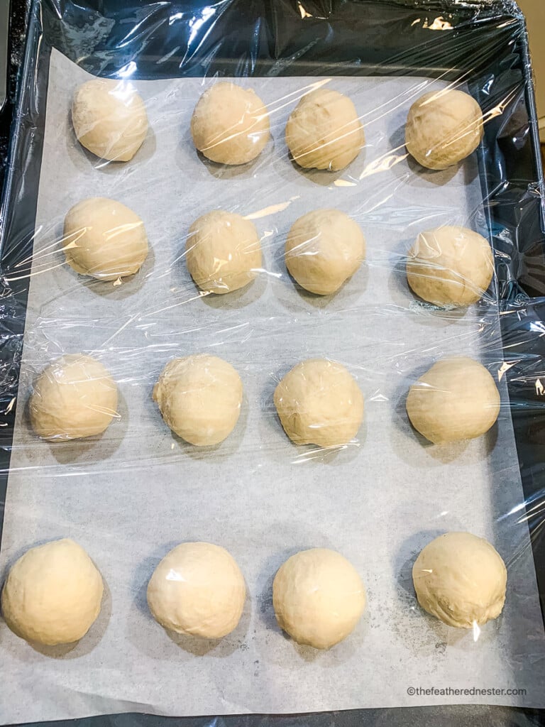 dough balls on a parchment paper lined baking sheet covered with a plastic wrap.