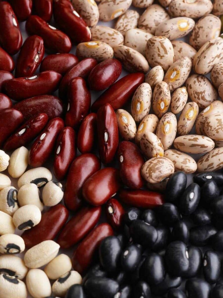 different types of dried beans.